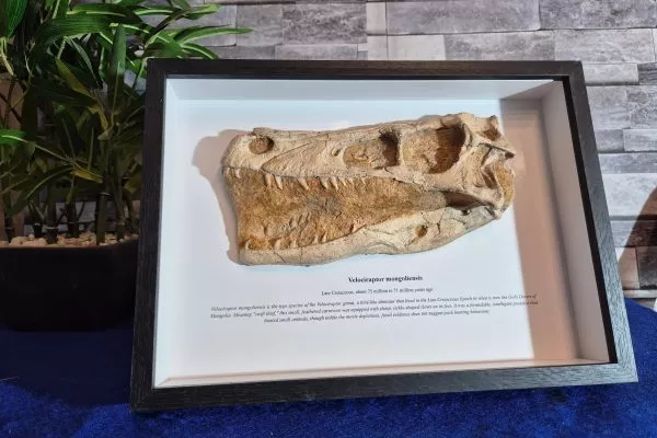 20250903-114335_2400x1800